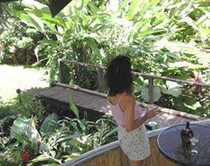 Jungle Palace at Aloha maui Cottages B&B